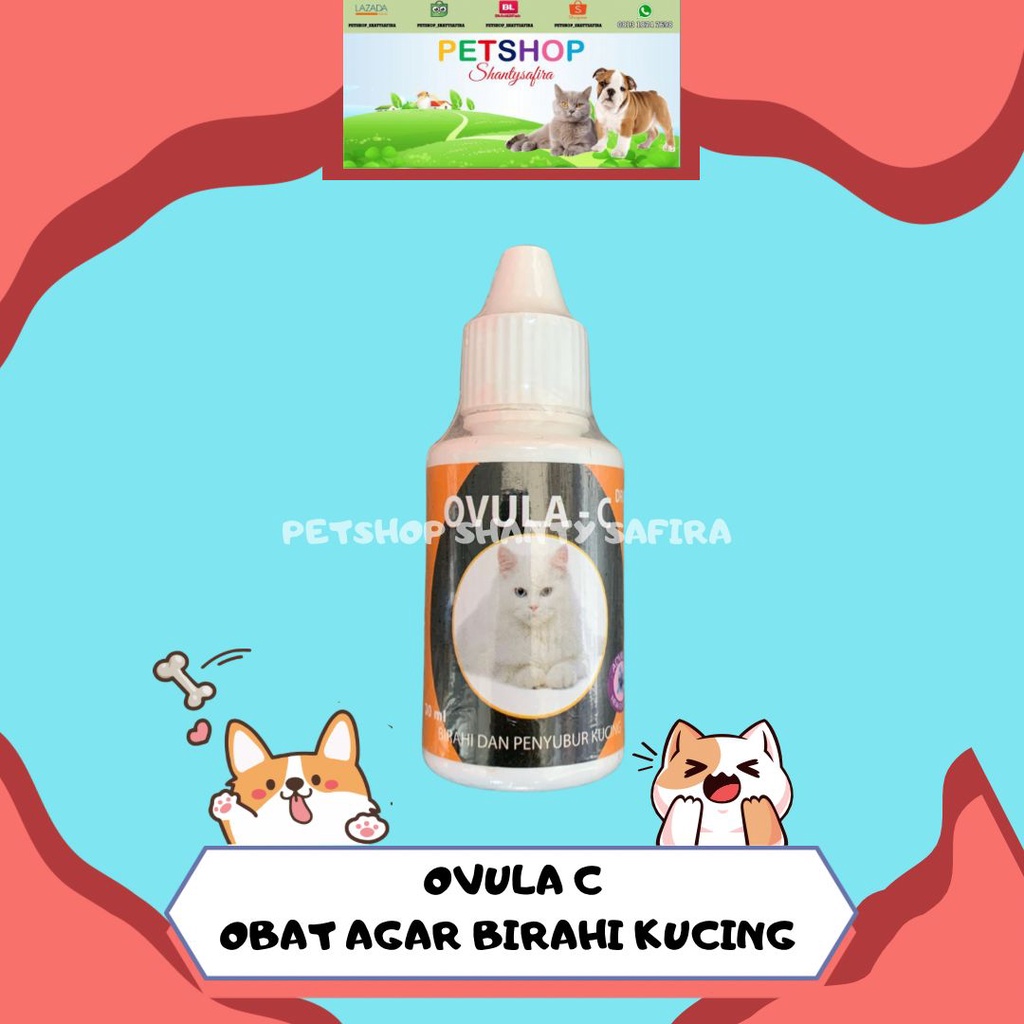 OVULA-C OBAT AGAR BIRAHI FOR CAT