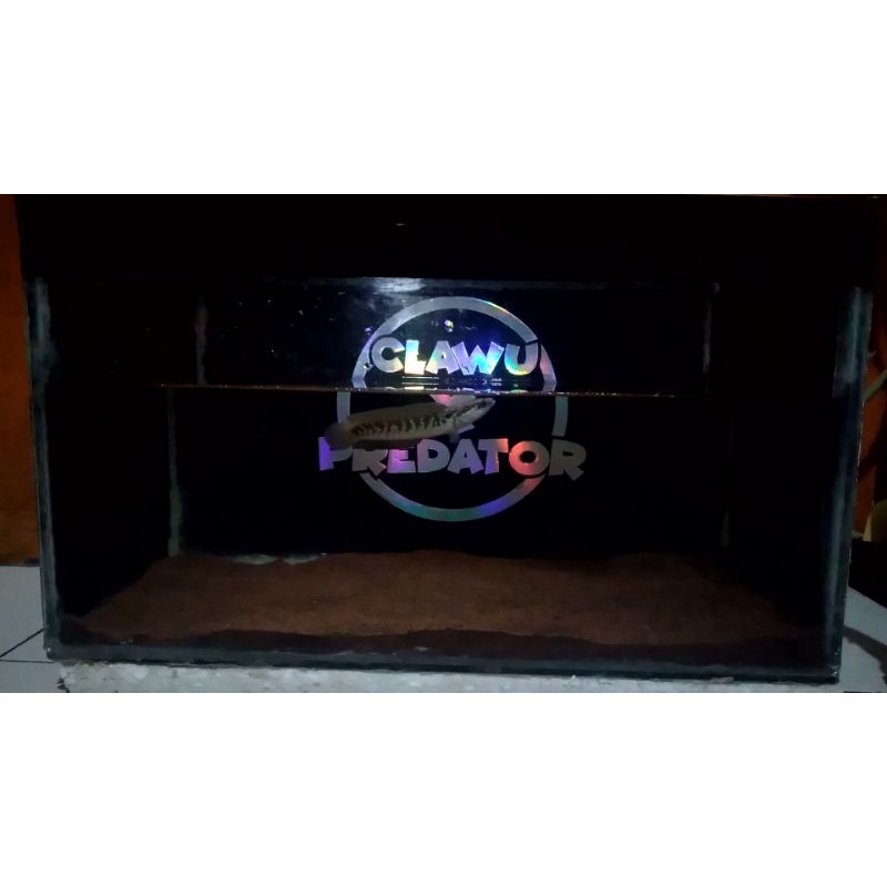 background aquarium chana custom