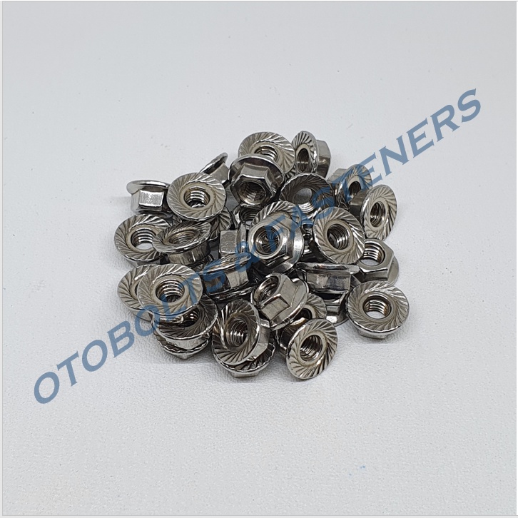 SUS304 Flange Nut M4 Stainless Steel