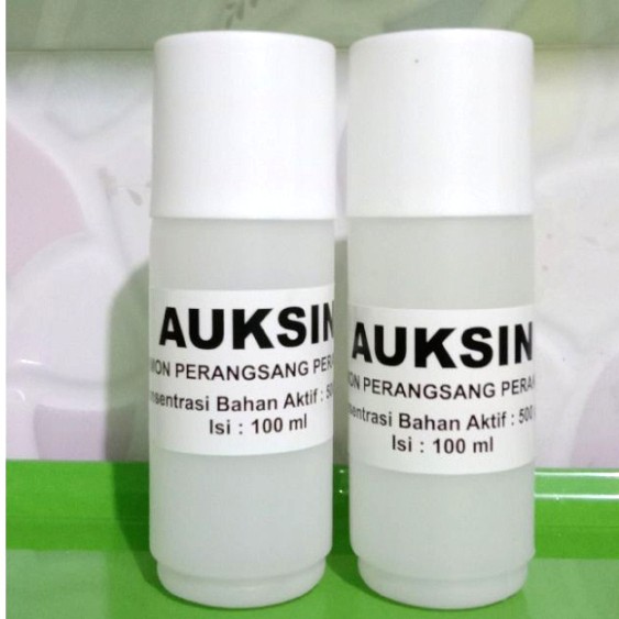 Hormon Tanaman Auksin