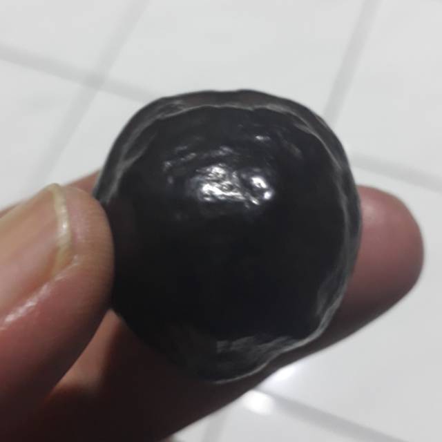 Muncang adu Jalim CP Grade A matang