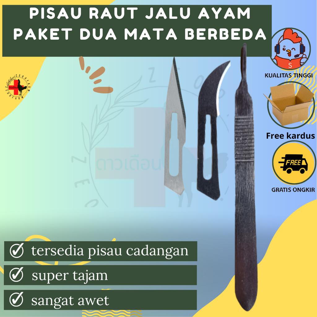 pisau stek rautan jalu dua model pisau zeorfarm