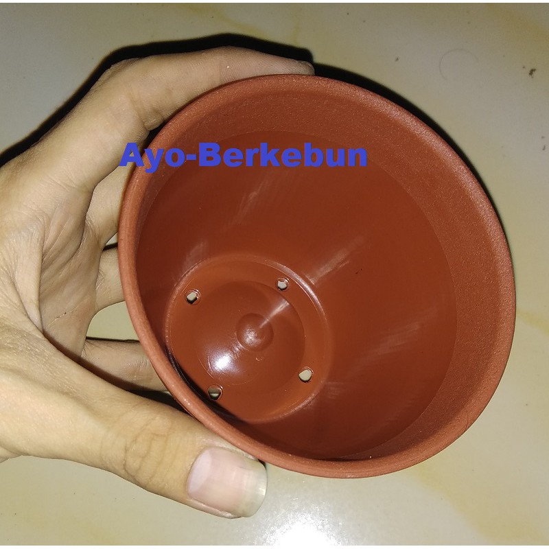 Pot tawon 10 cm warna coklat - Pot Tanaman dan Bunga Plastik coklat - pot ukuran 10 cm / pot 10 cm
