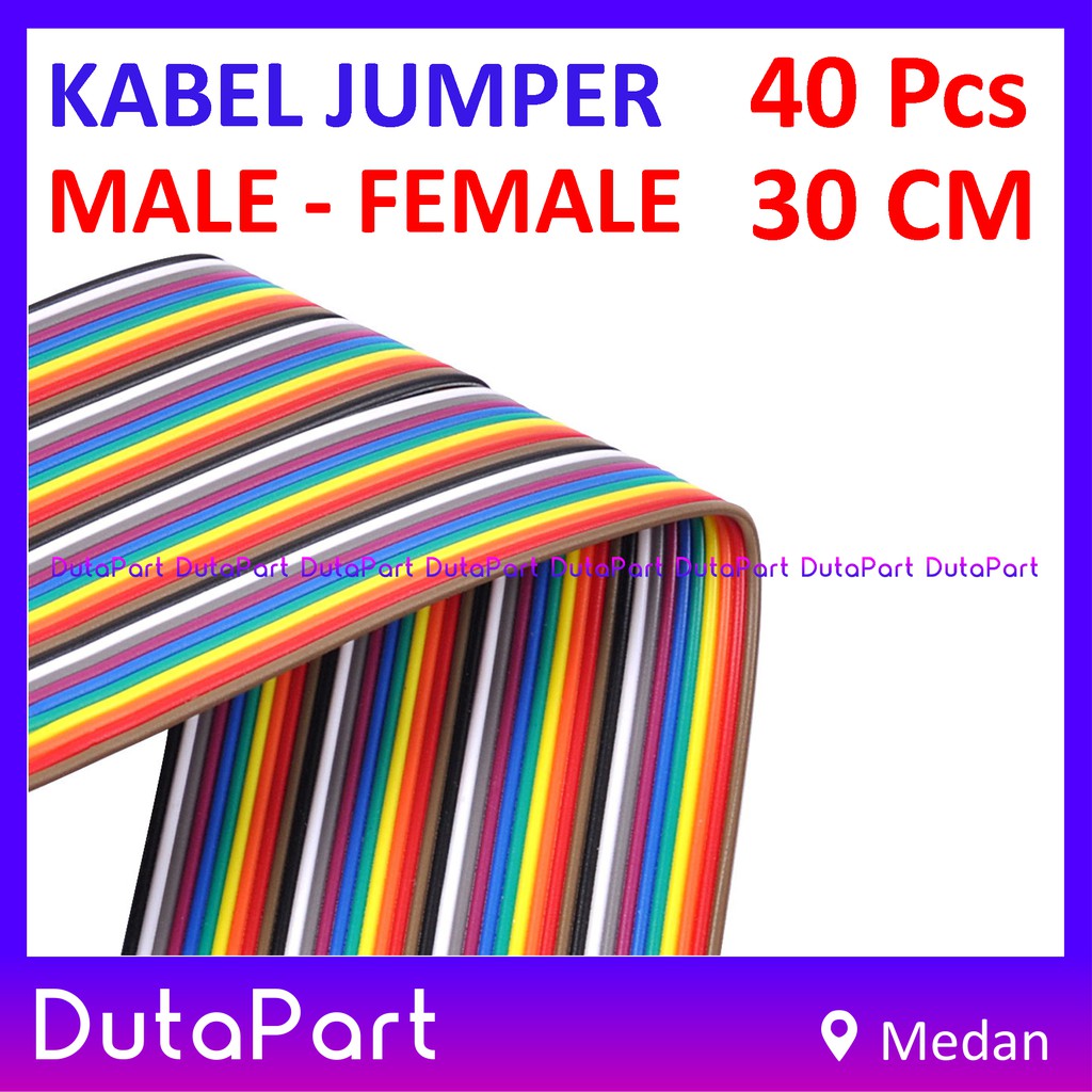 40Pcs Kabel Jumper 30cm MALE to FEMALE Dupont Cable Wire Pelangi