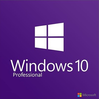 Windows 10 Professional OEM 64 Bit