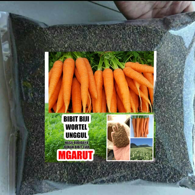 

BIBIT WORTEL LOKAL UNGGULAN 250gram PILIHAN/INGAT PILIHAN/CARROT SEEDS