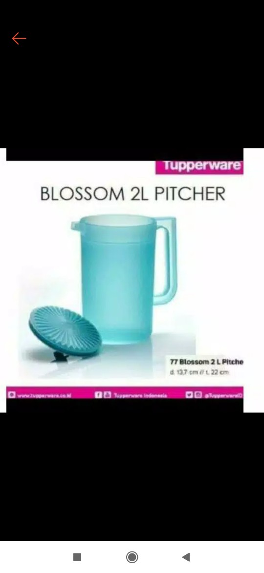 Blossom Pitcher 2l / Blomia Pitcher 2l