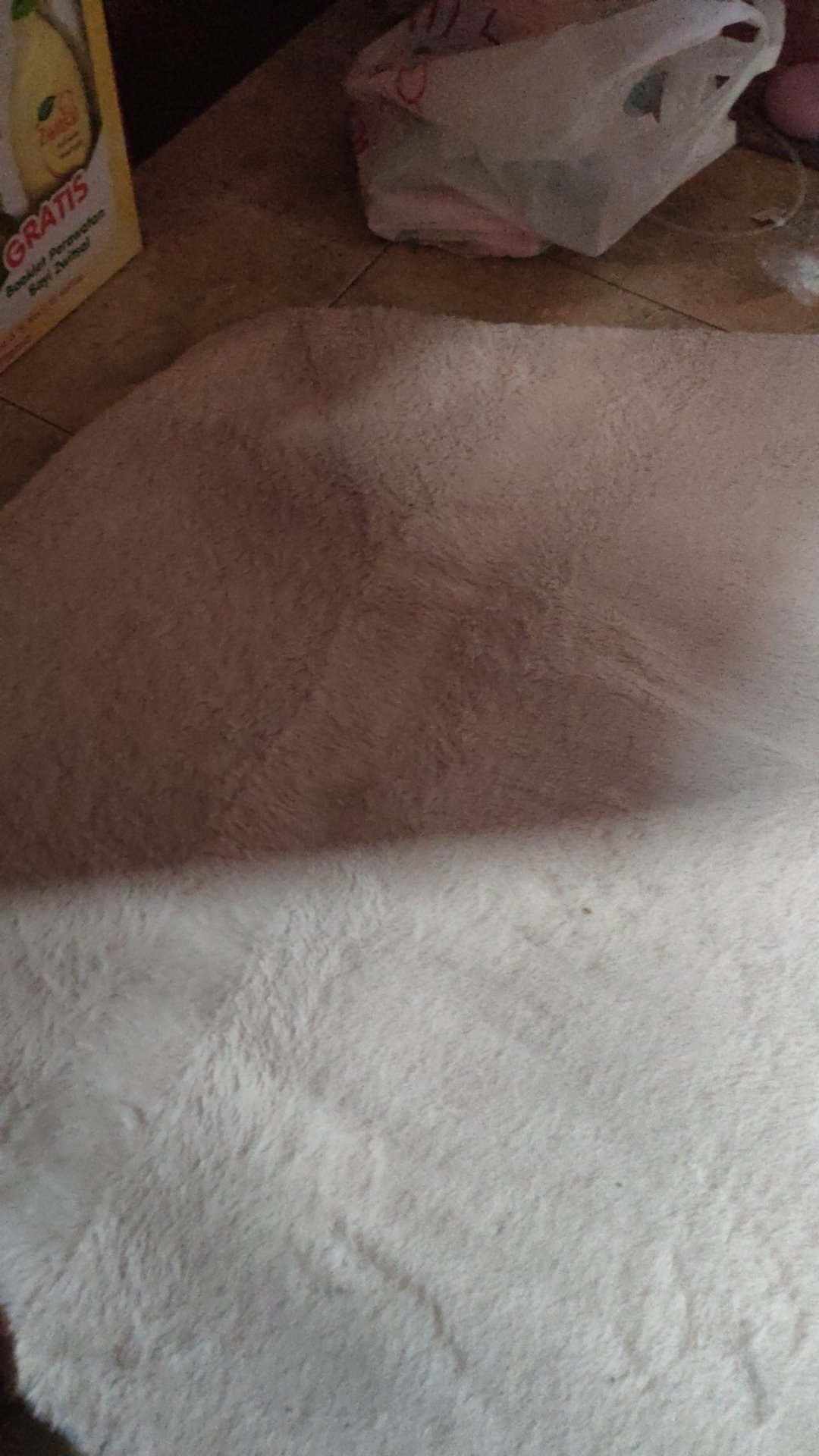 Edw Ehkt12 Klip Anti Serangga Pin Anti Nyamuk Tempelan Anti Nyamuk Klip Anti Nyamuk Penangkal Nyamuk