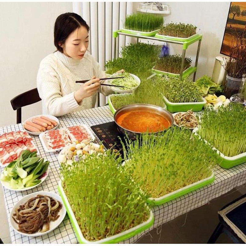 

Microgreen