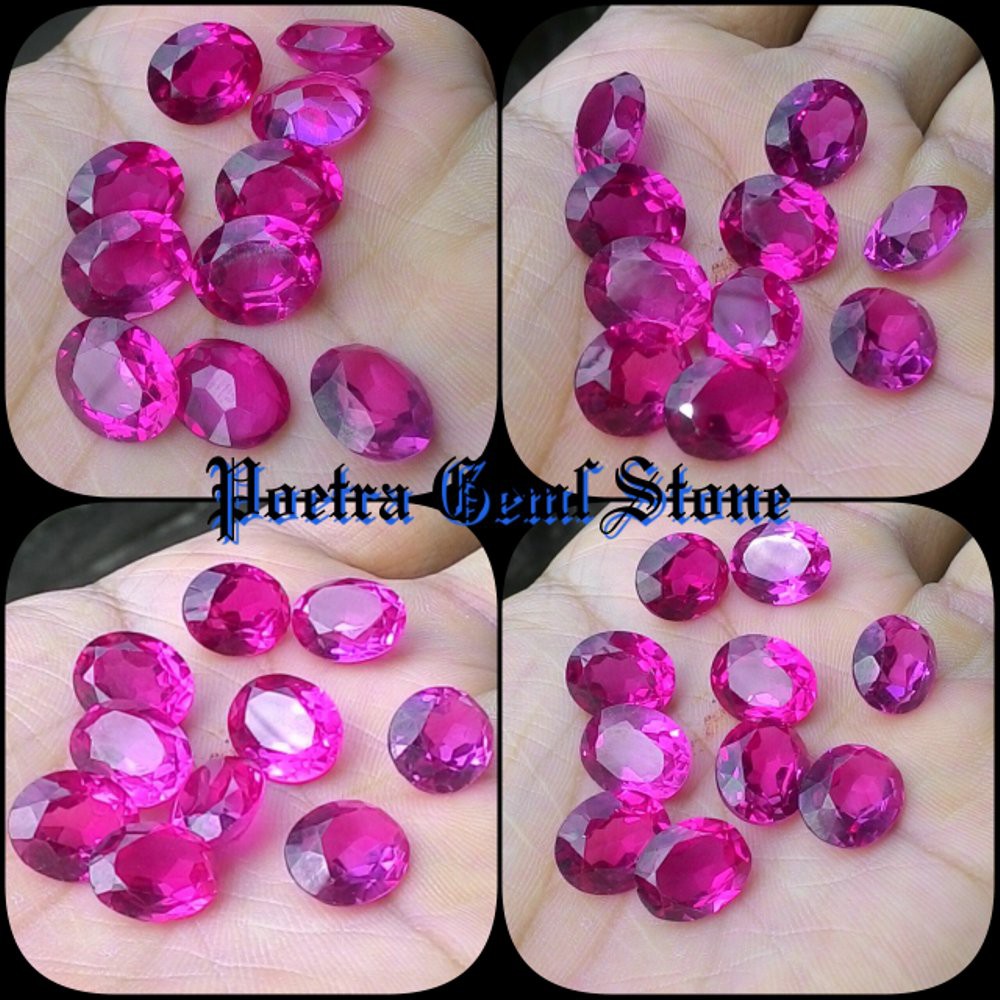 [PROMO] MERAH SIAM PINK ROSE CUTTING