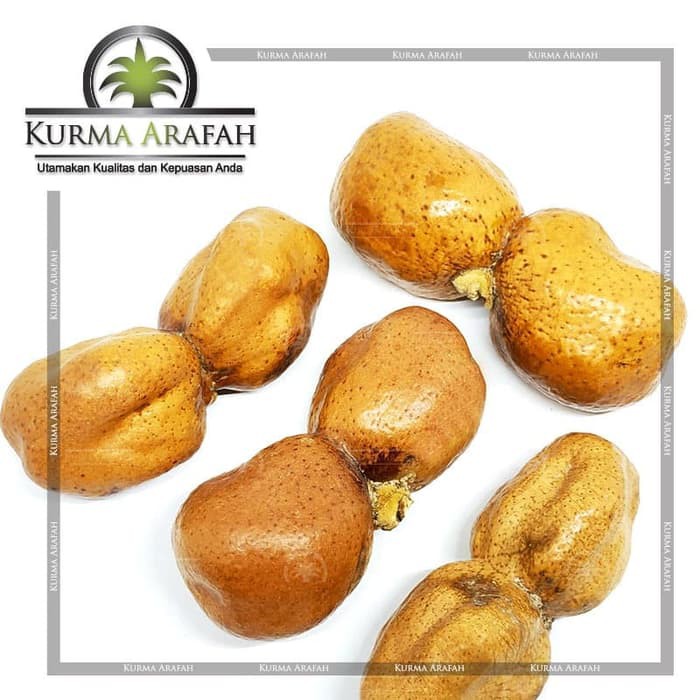 

Star Seller Buah Zuriat Kembar / Doum Kembar 1 Pasang Original Asli