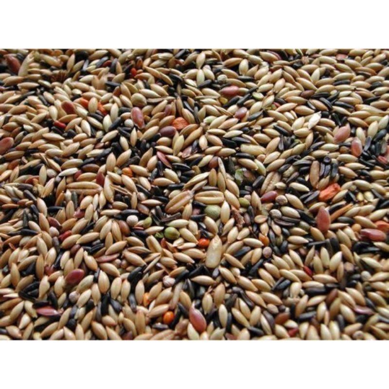 PAKAN KENARI CANARY SEED / Milet kenari Campur 1 KG