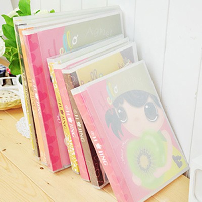 

Korean Stationary Nixnox Notes File PP Girl