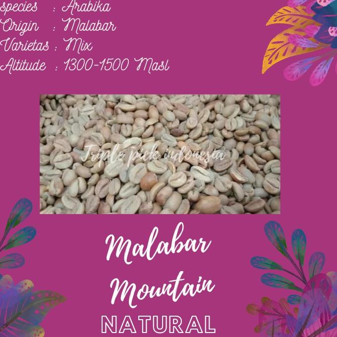 

green bean / Biji kopi arabika malabar - natural