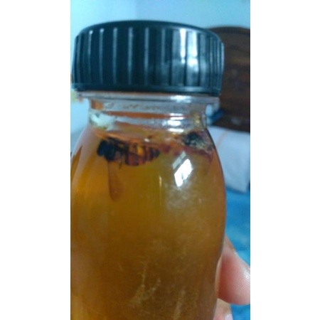 

madu asli sumbawa