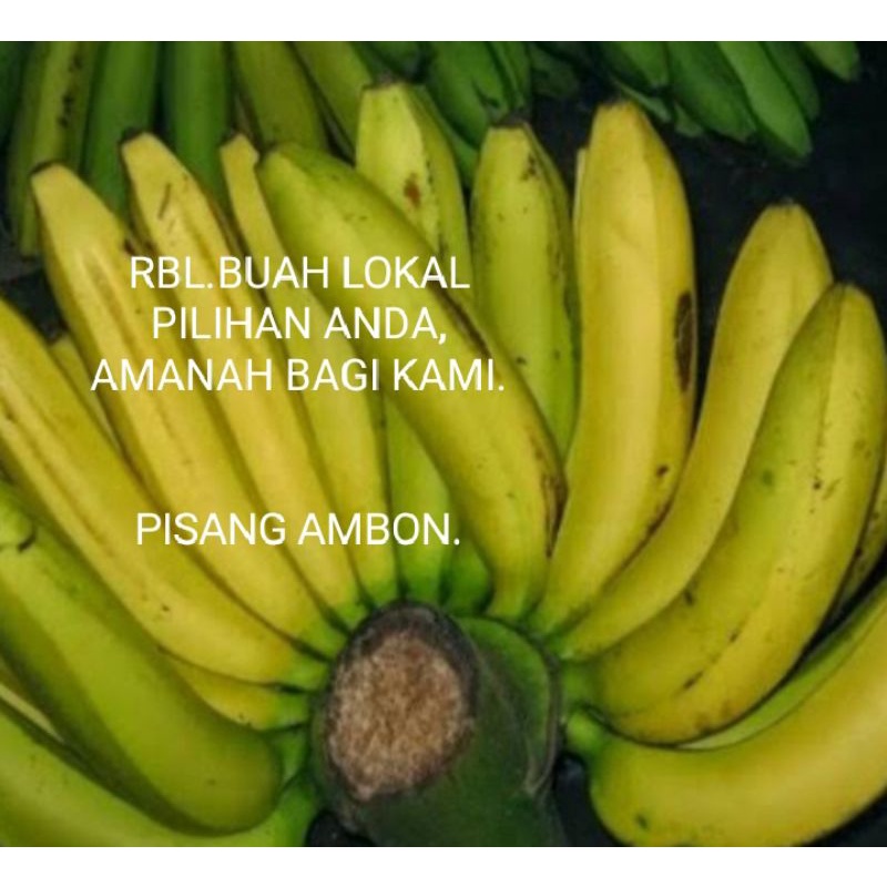 

Pisang ambon