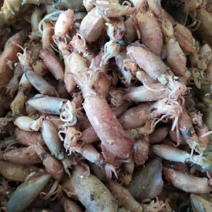 

[COD] ikan cumi asin [COD]
