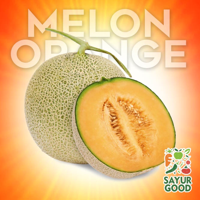 Melon Segar / Buah Melon Orange / Buah Melon Orange Segar / 1 Buah