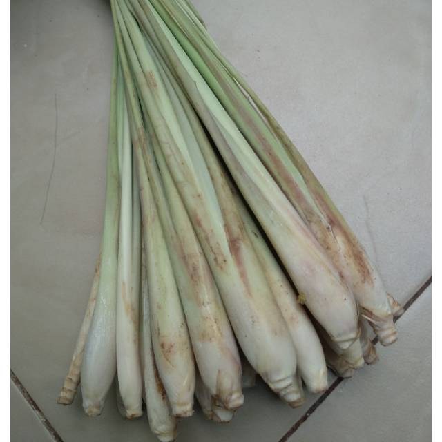 

Sereh/serai (khusus gosend)