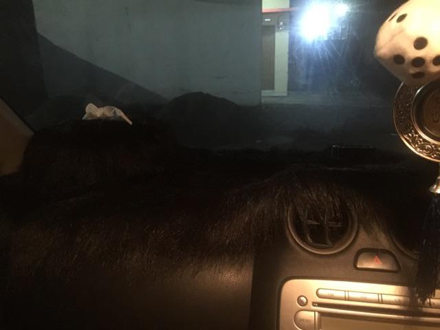 Paket Alas Dashboard Plus Tempat Tissue