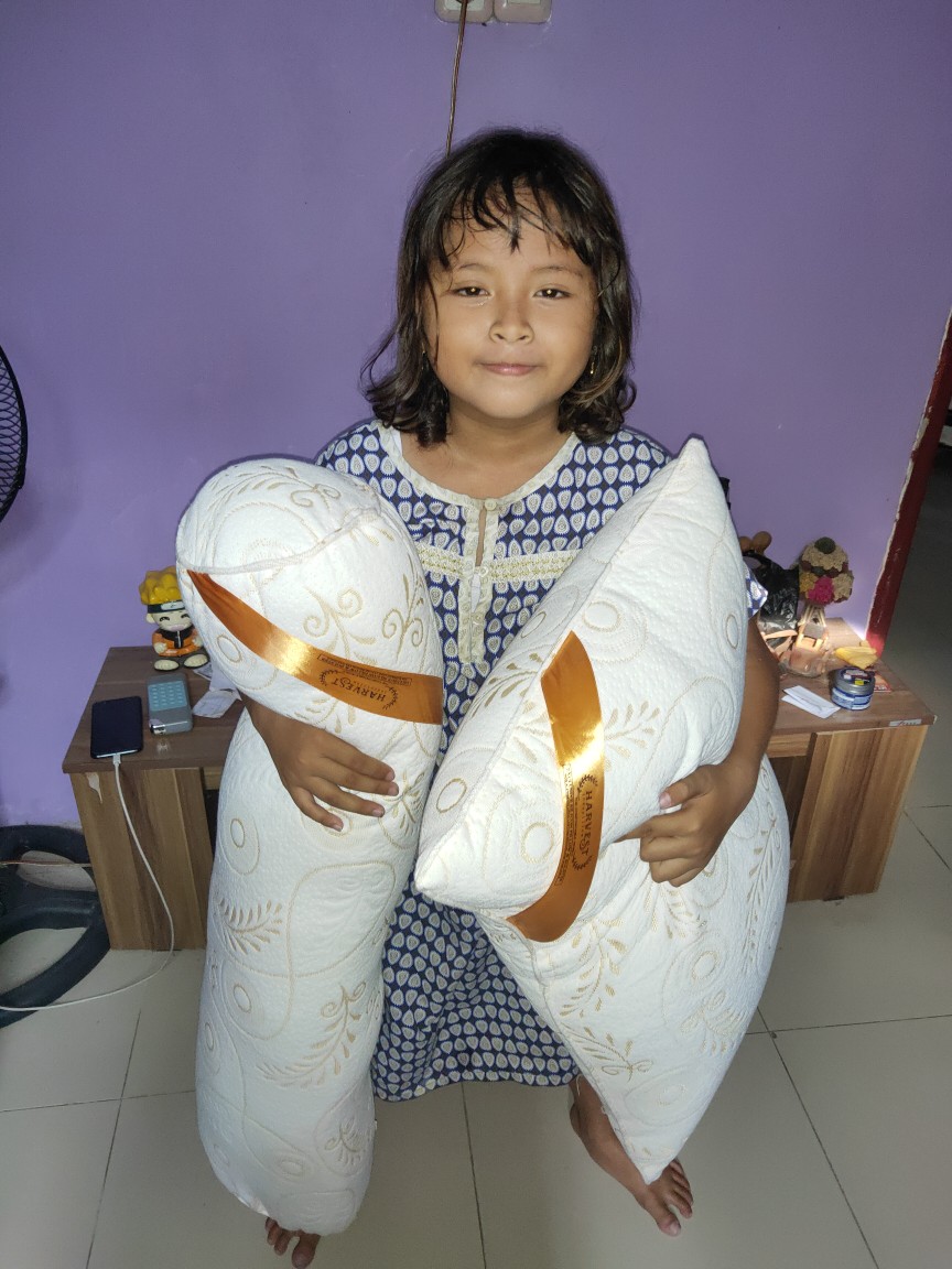 Bantal Tidur Kepala Plus Guling Peluk Bahan Premium Kualitas Terbaik Standart Hotel