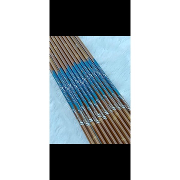 Shaft carbon express predator motif