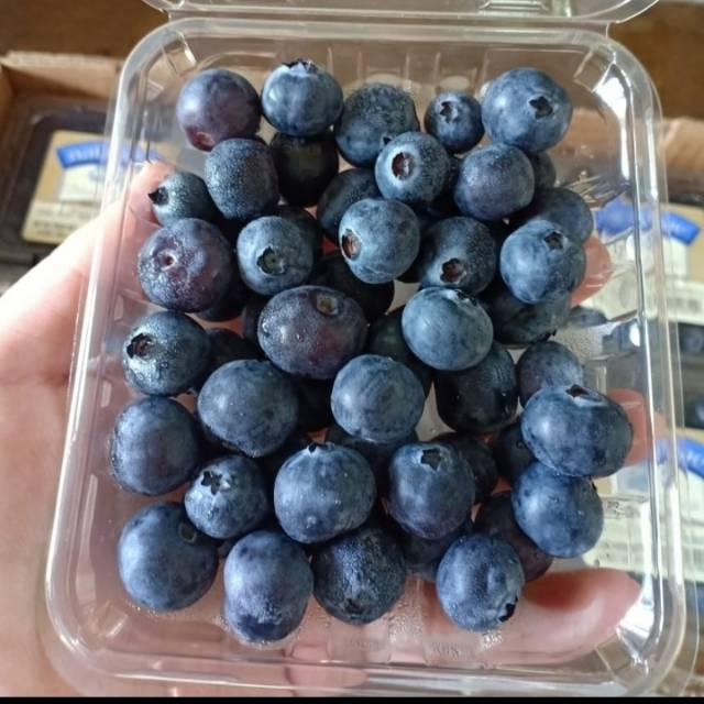 

Blueberry