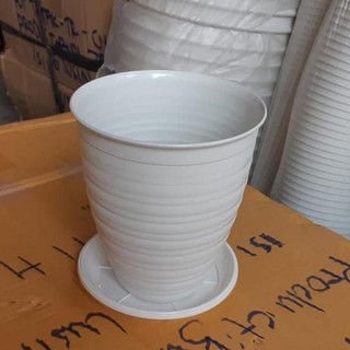 Terlaris Pot Bunga Tawon Putih Tinggi Pirus 18Cm Terlaris Pot Bunga Tawon Putih Tinggi Pirus 18Cm