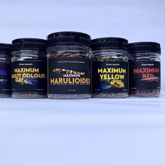 Special - MAXIMUM PELLET PAKAN CHANNA BY GINAN AQUATIC