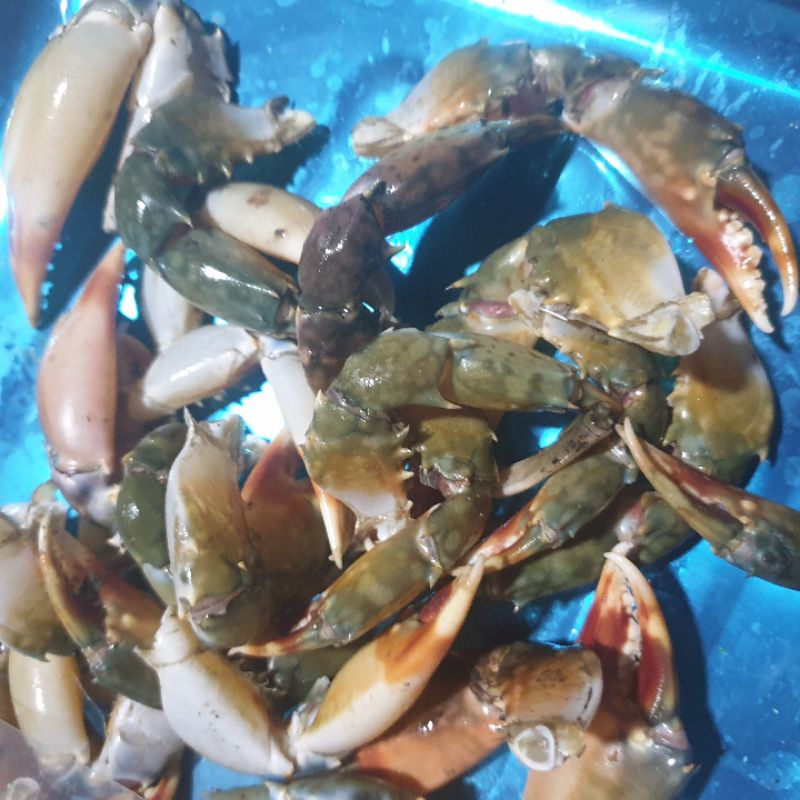 

capit kepiting 500gr