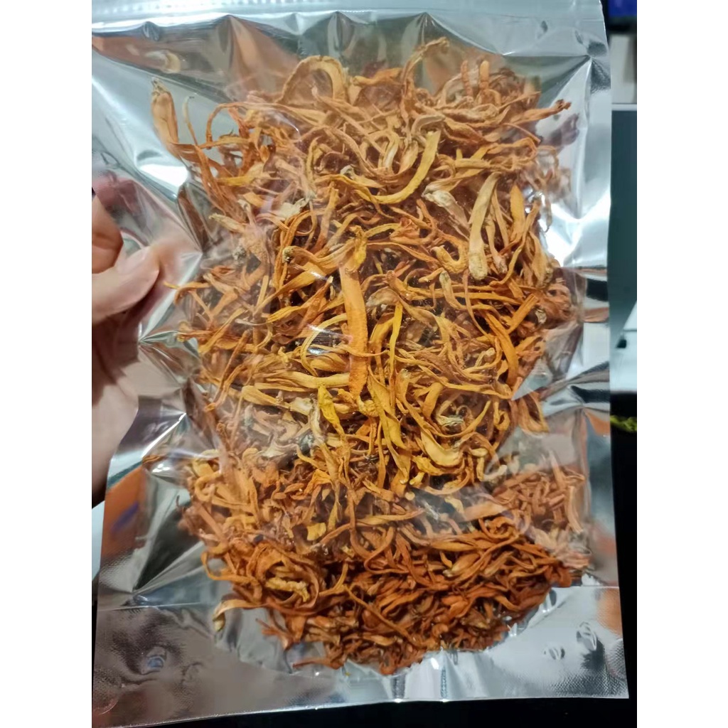 

Chong Cao Hua 虫草花 Cordyceps Flower - Jamur Bunga Cordyceps 100 Gram