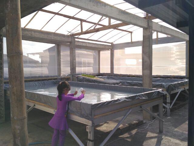 Insect Net - Screen Net - Kelambu - Jaring Penghalang Serangga - Hama Lebar 1 Meter Mesh 50 Putih