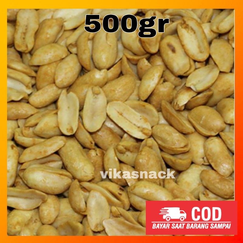 

500gr Kacang Bawang Kualitas Super