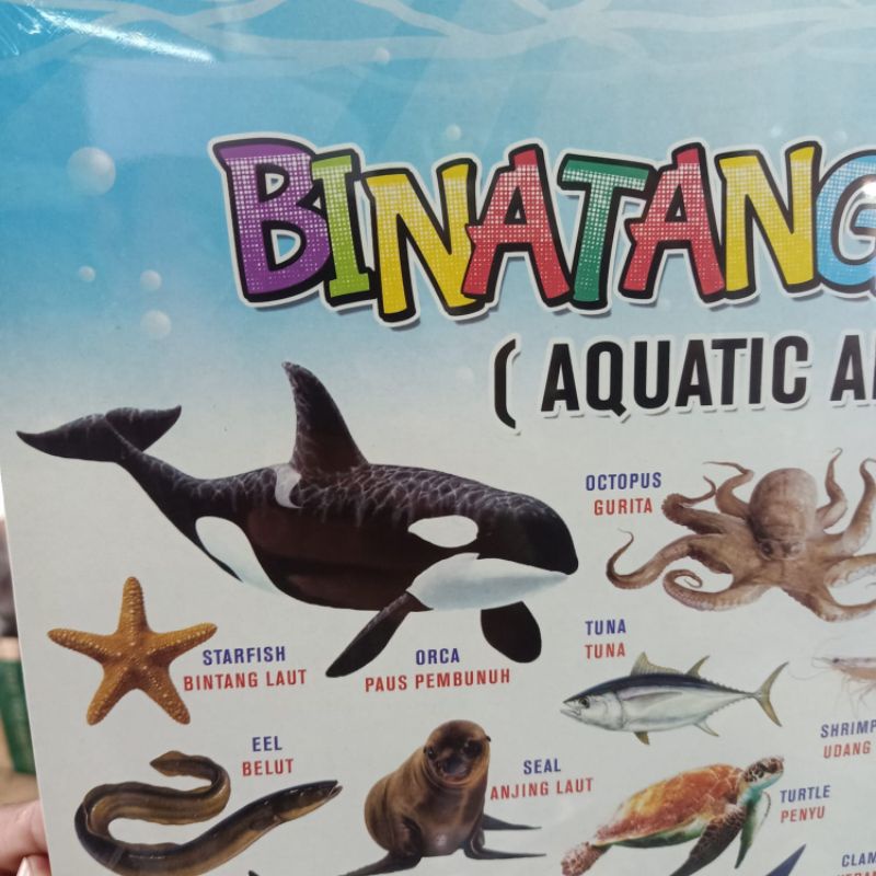 

poster anak edukasi mengena binatang binatang air