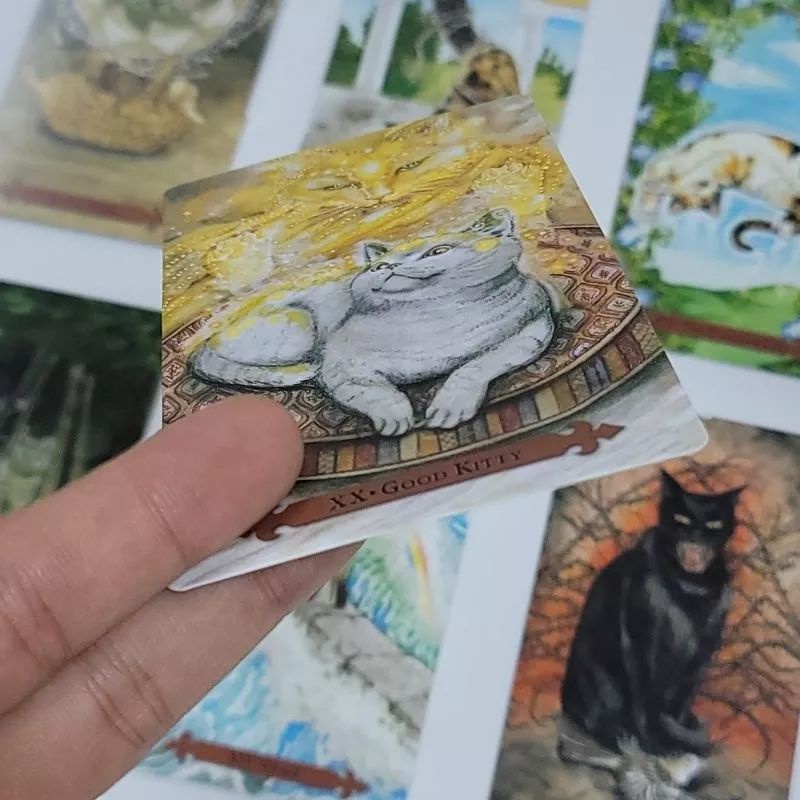 Mystical Cat Tarot 12x7cm include guide paper