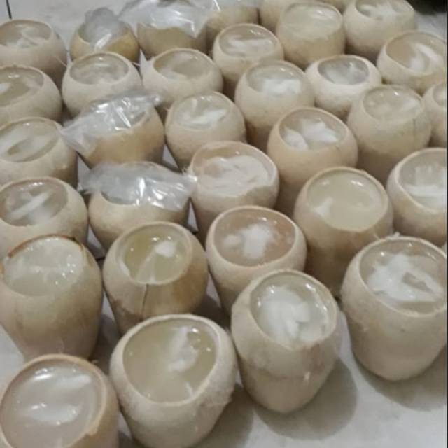 

Puding kelapa