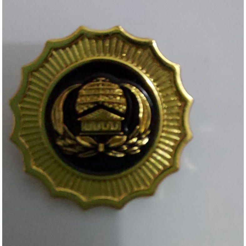 Pin Kopri sepuh Emas Pin ASN (5pc)