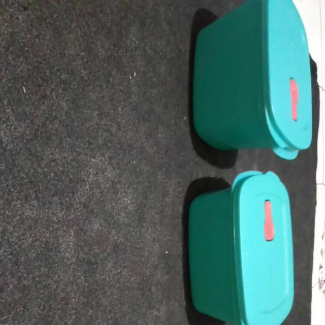 

Wadah buat penyimpanan ikan uk2.3L.uk besar