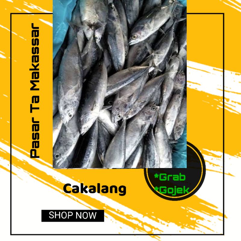 

ikan Cakalang perpaket isi 2-3 ekor tergantung ukuran yg ready / pasar ikan online makassar pasar ikan makassar