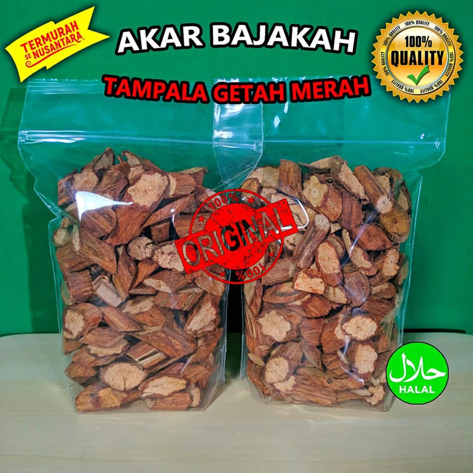 

Akar Bajakah Tampala Getah Merah Asli Kalimantan 1kg Termurah