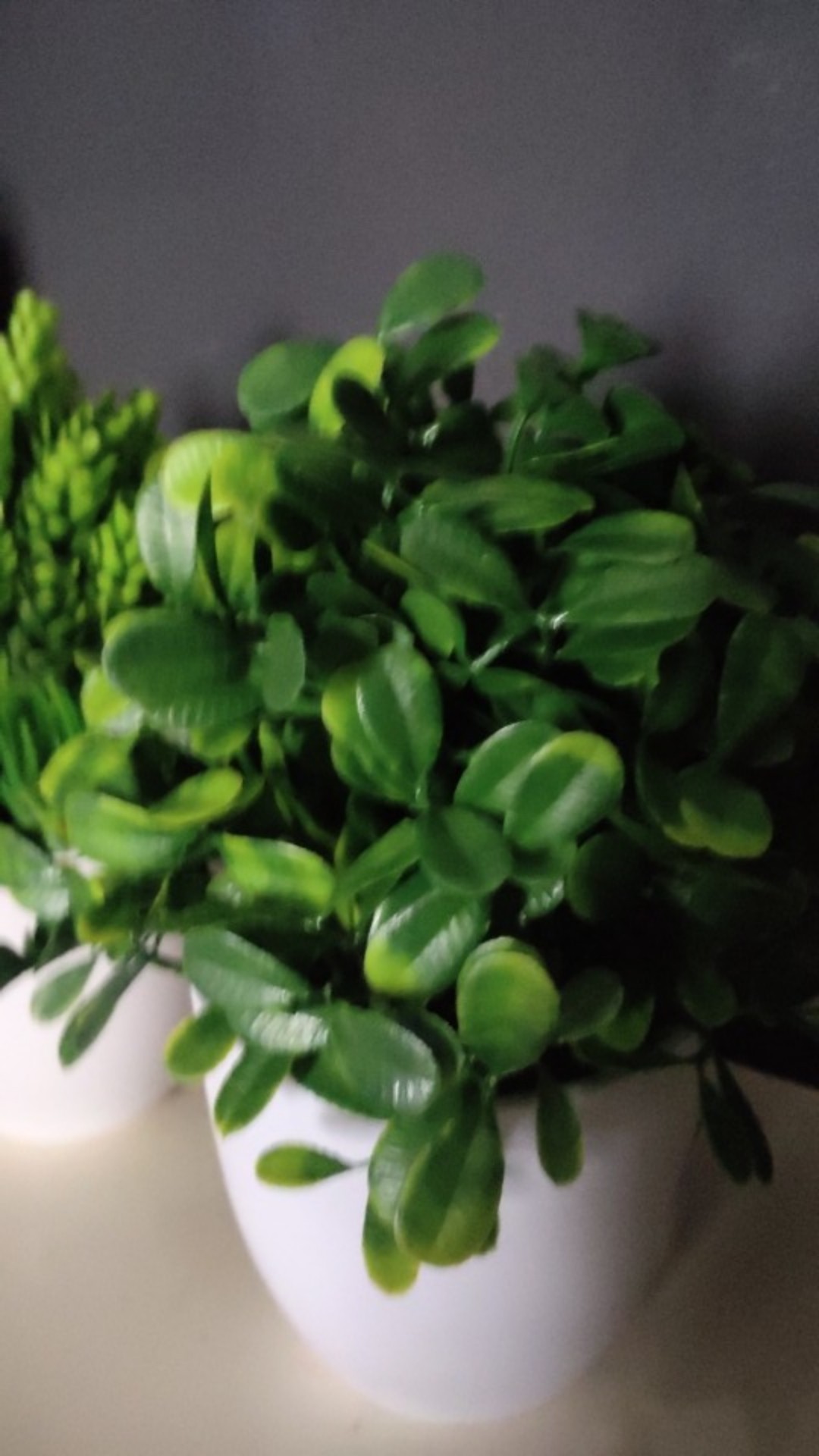 Pinus - Pot Tanaman Pohon Hias Vas Bunga Dekorasi Ornamen Tanaman Bonsai Buatan Untuk Hiasan Rumah