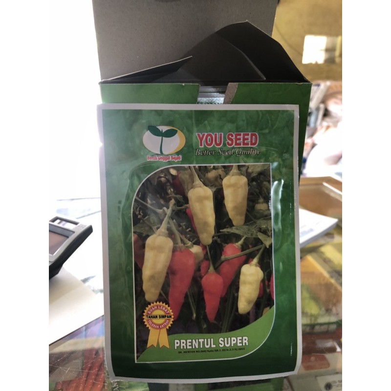 benih cabe rawit PRENTUL