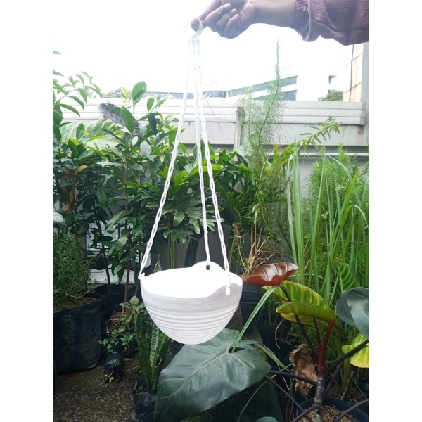 Pot gantung putih,  pot gantung lavenia, pot bunga mewah kecil
