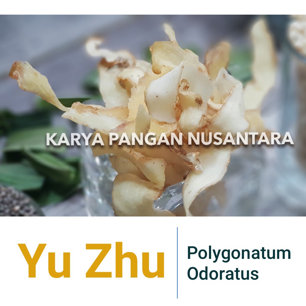 

Yu Zhu - Polygonatum Odoratus - Ik Cuk - YuZhu - Solomon Seal Rhizome