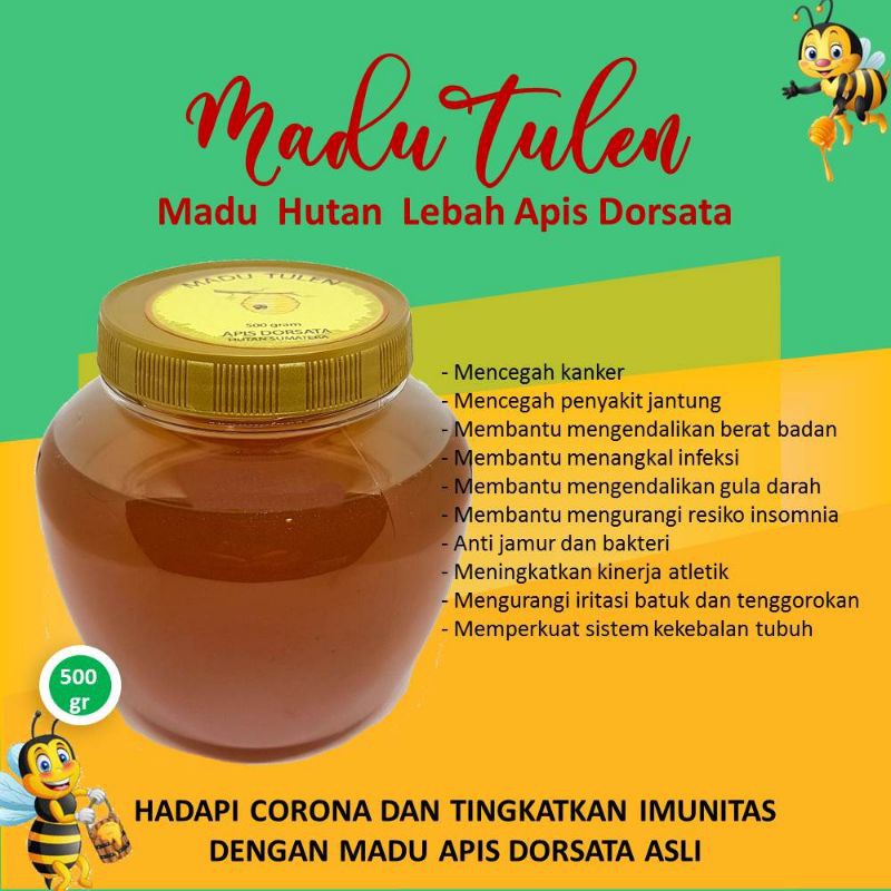 

Madu hutan Sumatera dari lebah Apis Dorsata