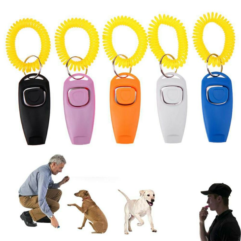 Pet clicker training dog