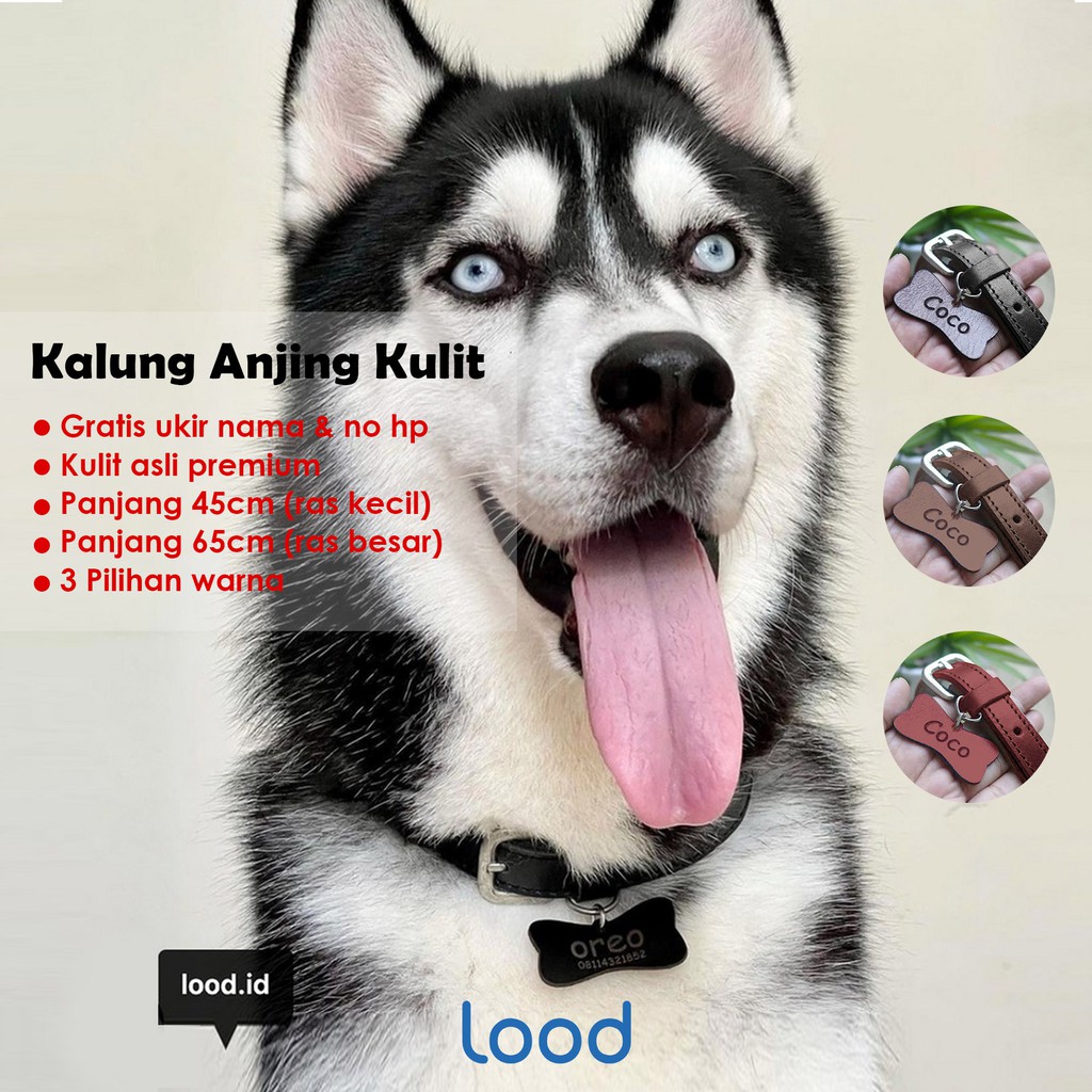 LOOD KALUNG ANJING KULIT ASLI - KUAT DAN TAHAN LAMA - GRATIS UKIR NAMA