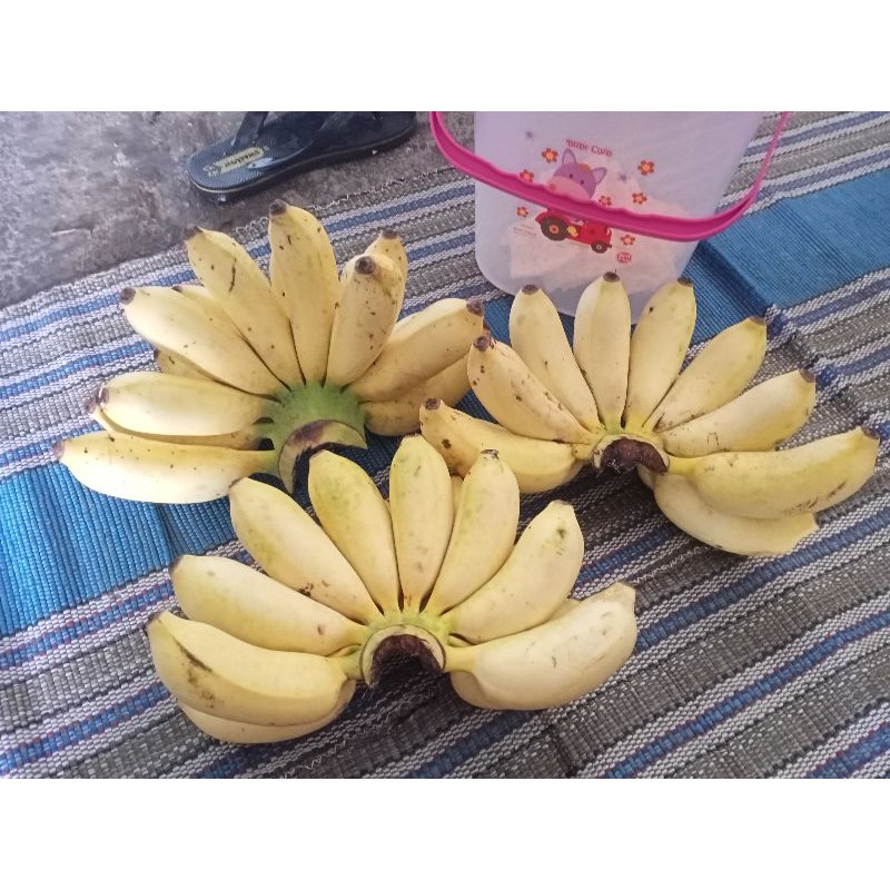

Pisang susu