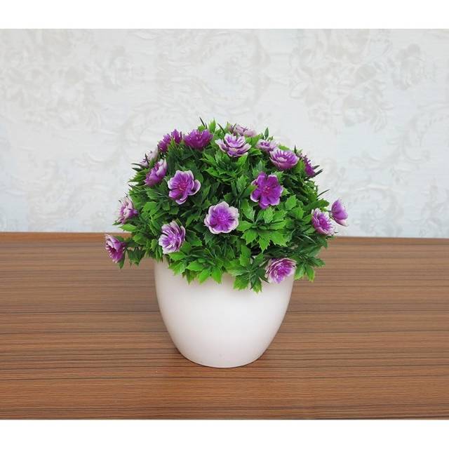 Bundara.id Pr-596 ( Size 15x14 ) Bunga hias + pot cantik/bonsai kembang import
