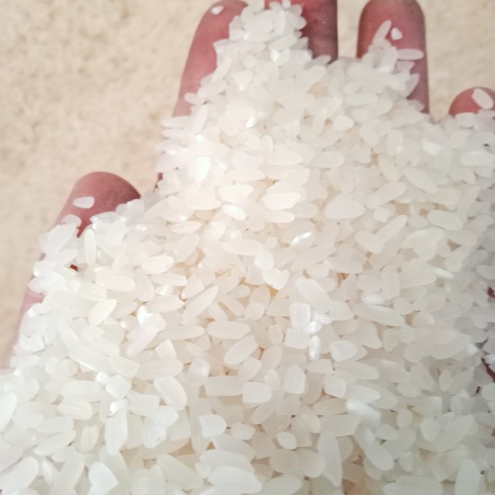 

fs2011bb Beras Mentik Wangi Sv012Ss